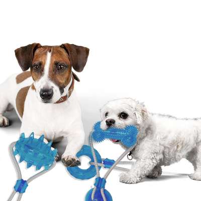 Pet Training Chew Dog Rope Toy Teething Puppy Toys